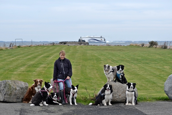 Helle og hundene ved færgen i Odden